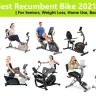 12 Best Recumbent Bike 2022 for Seniors, Weight Loss, Home Use, Bad Knees