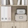 Furinno Gruen 3-Tier Open Shelf Bookcase with 2 Doors Storage Cabinet review